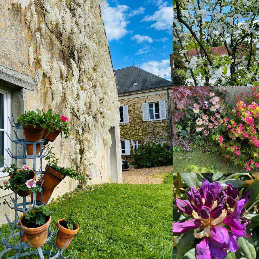 Les Couleurs Du Verger Beaumont-les-Autels Eksteriør billede