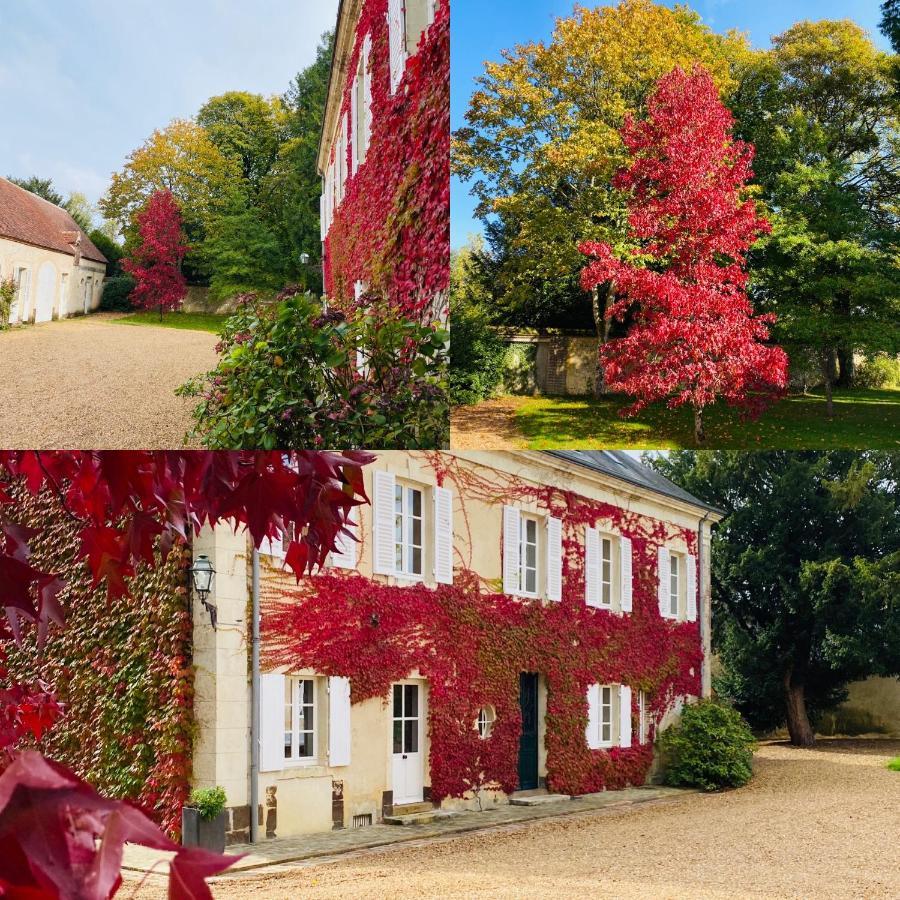 Les Couleurs Du Verger Beaumont-les-Autels Eksteriør billede