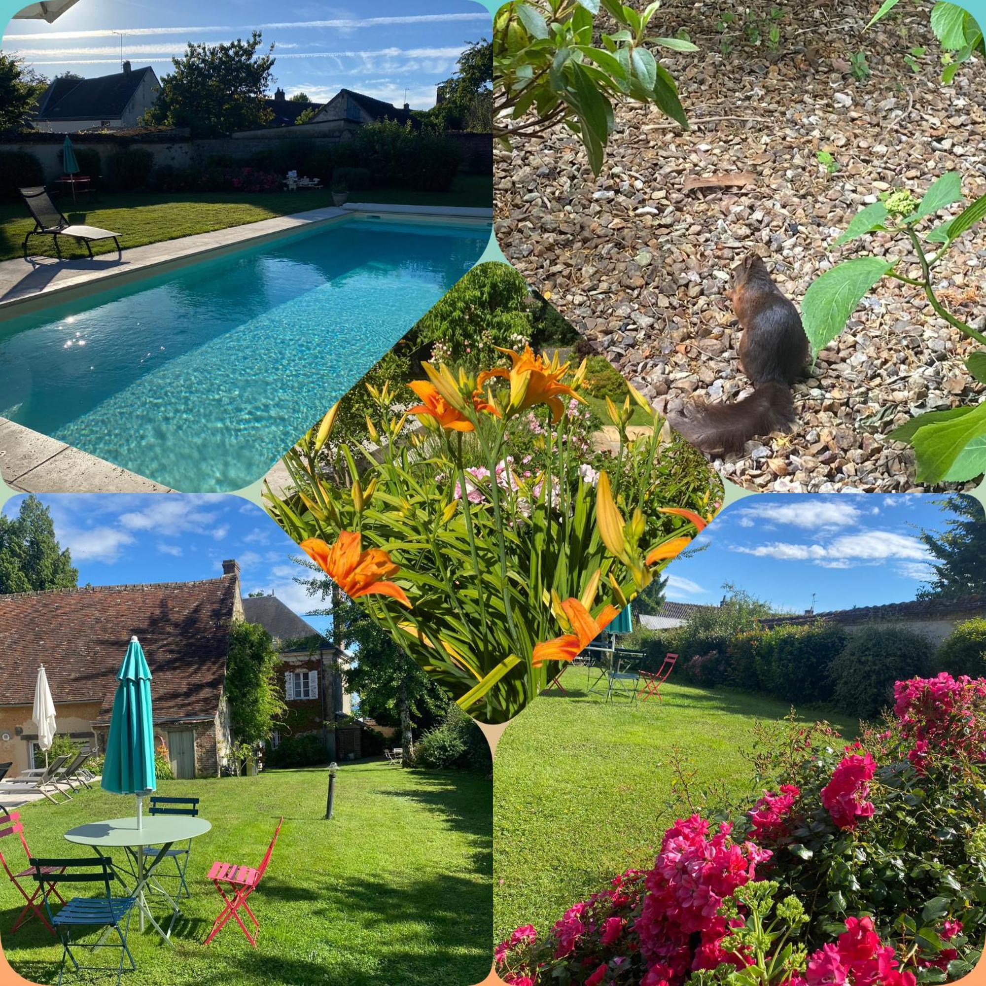 Les Couleurs Du Verger Beaumont-les-Autels Eksteriør billede