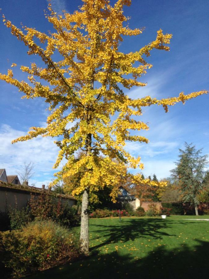 Les Couleurs Du Verger Beaumont-les-Autels Eksteriør billede